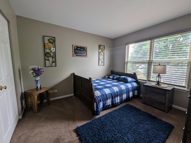 1230 Spring Creek Rd, Elgin, IL 60120 - photo 13