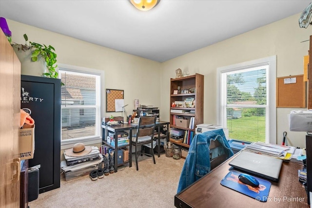 335 E Ogden St, Capron, IL 61012 - photo 12