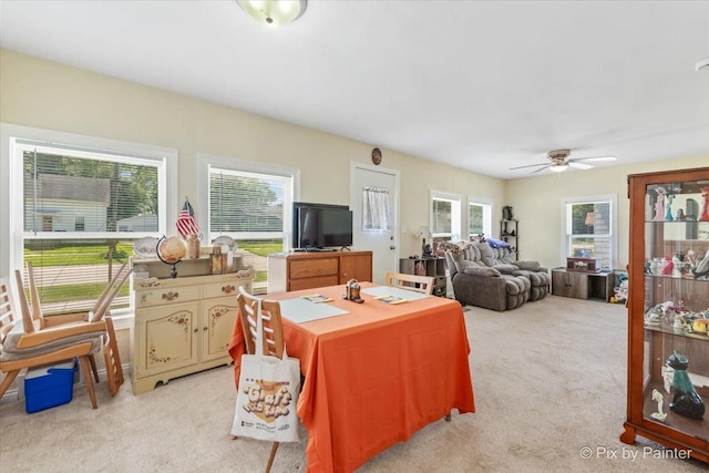 335 E Ogden St, Capron, IL 61012 - photo 9