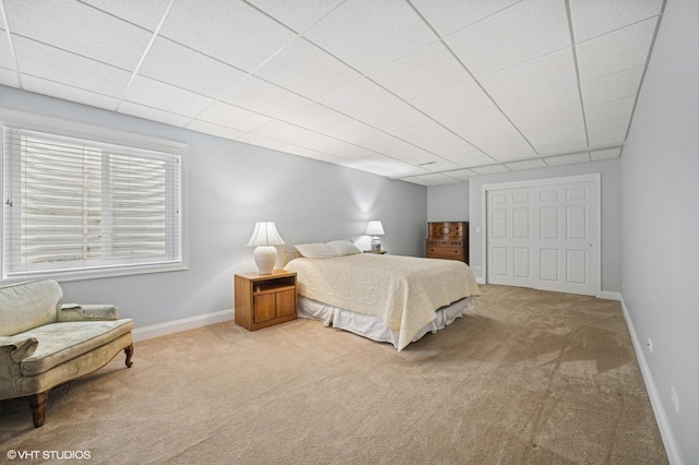 20 Bighorn Ct, South Barrington, IL 60010 - photo 19
