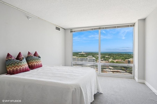 1720 Maple Ave Unit 2340, Evanston, IL 60201 - photo 12
