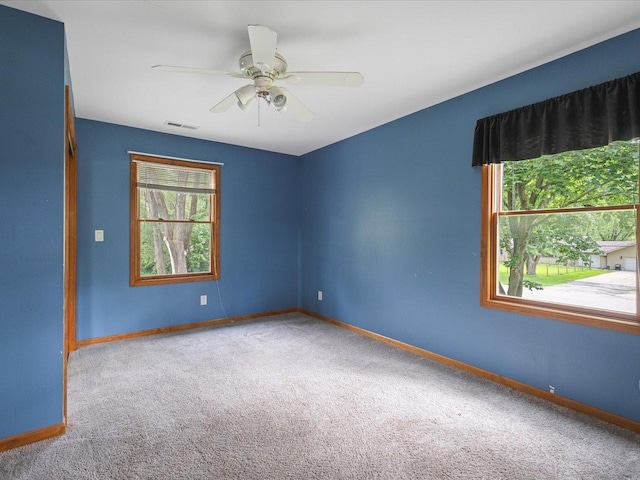10829 Miller Ln, Machesney Park, IL 61115 - photo 38