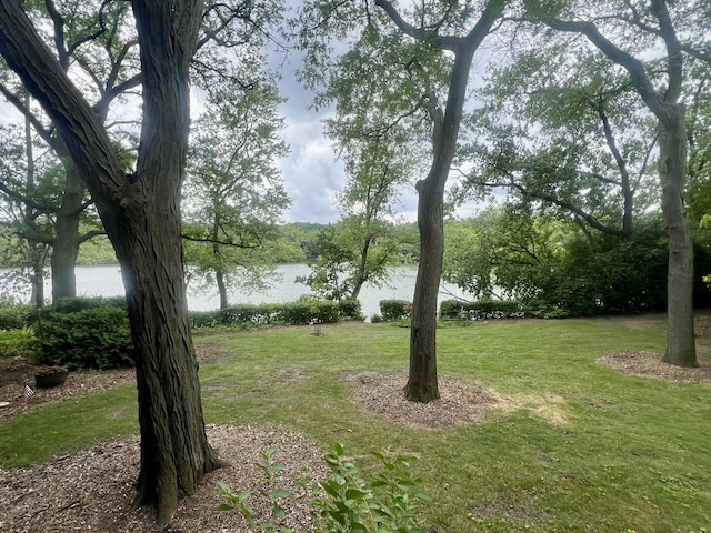 5507 E Lake Dr Unit 101-B, Lisle, IL 60532 - photo 17