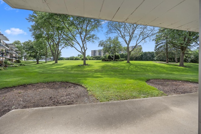 5540 Walnut Ave Unit 26A, Downers Grove, IL 60515 - photo 8