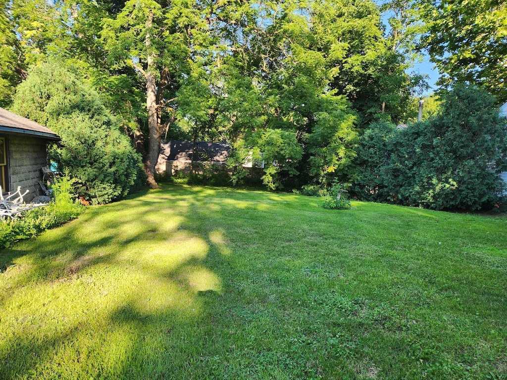 115 Dundee Ave, Barrington, IL 60010 - photo 4