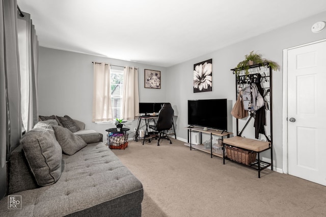 38442 N Wilson Ave, Beach Park, IL 60087 - photo 3
