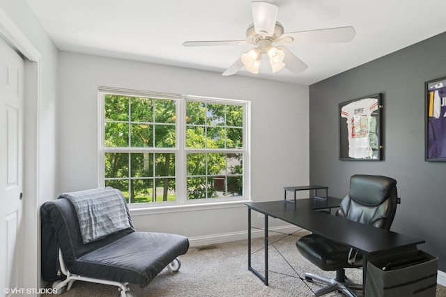 779 Lipizzan Ln, Wauconda, IL 60084 - photo 20