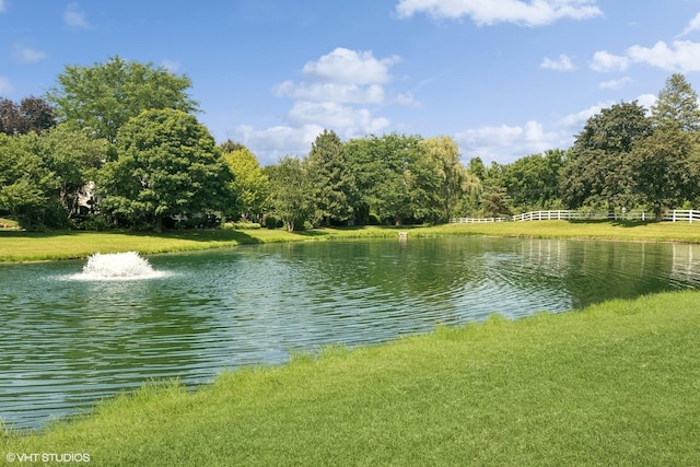 779 Lipizzan Ln, Wauconda, IL 60084 - photo 39