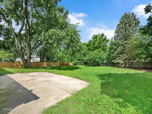 805 Potomac Ave, Naperville, IL 60565 - photo 27
