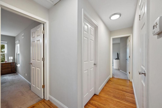 1110 S Green St, Mchenry, IL 60050 - photo 14