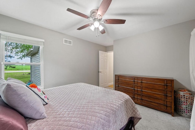 1110 S Green St, Mchenry, IL 60050 - photo 19