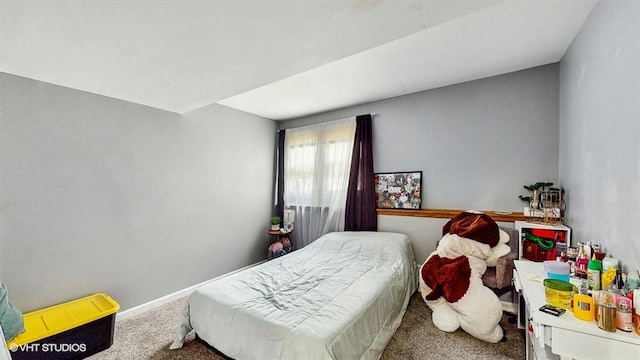 8554 Fir St, Orland Park, IL 60462 - photo 21