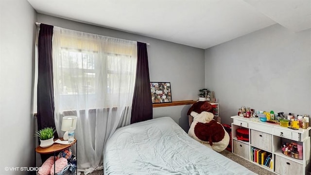 8554 Fir St, Orland Park, IL 60462 - photo 22