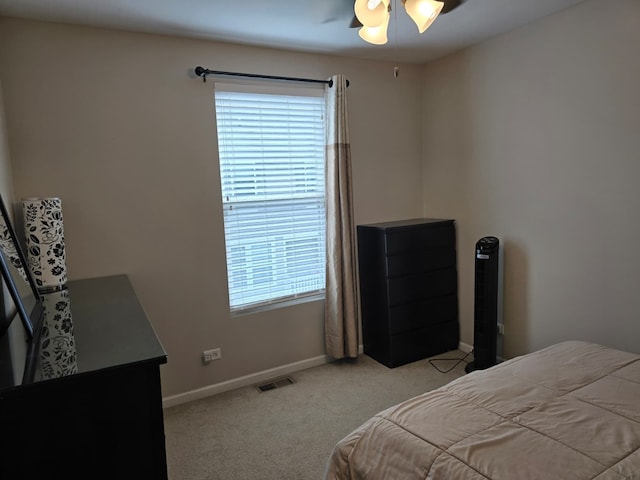 1077 Crane Pt, Elgin, IL 60124 - photo 13