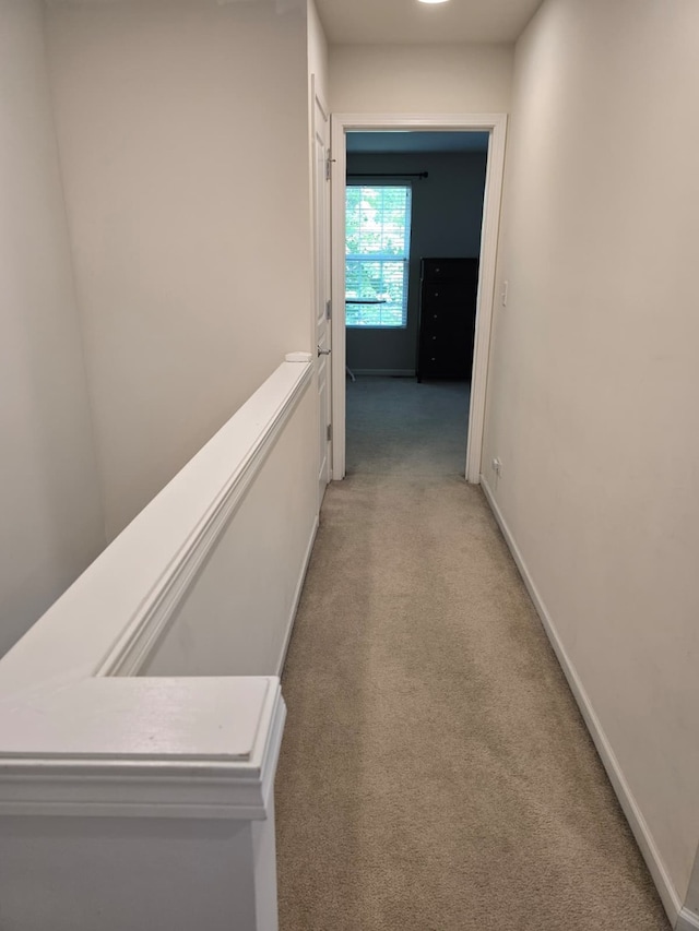1077 Crane Pt, Elgin, IL 60124 - photo 15