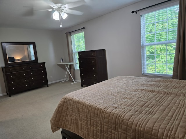 1077 Crane Pt, Elgin, IL 60124 - photo 19