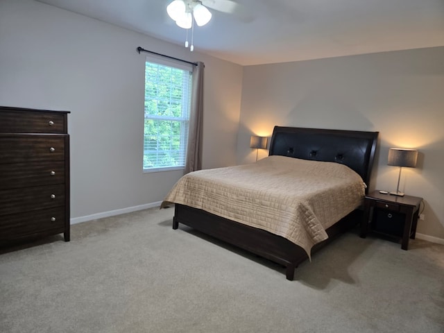 1077 Crane Pt, Elgin, IL 60124 - photo 21