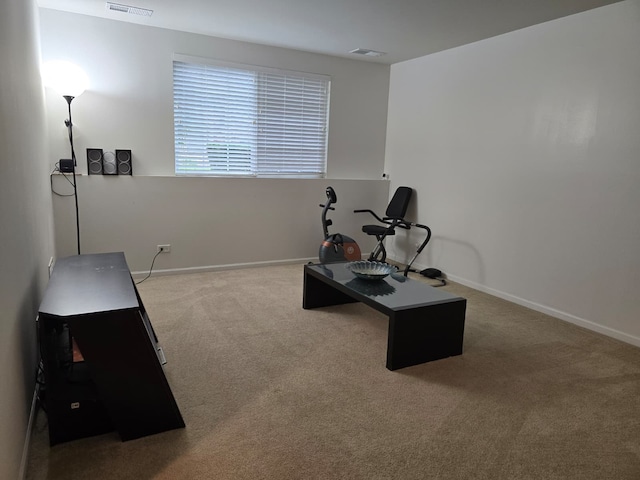 1077 Crane Pt, Elgin, IL 60124 - photo 5