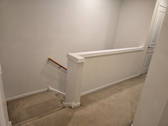 1077 Crane Pt, Elgin, IL 60124 - photo 8