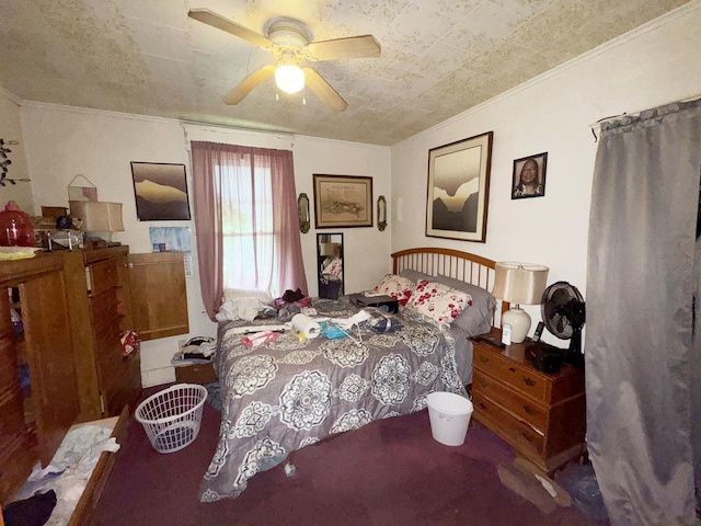 402 W Eureka St, Champaign, IL 61820 - photo 6