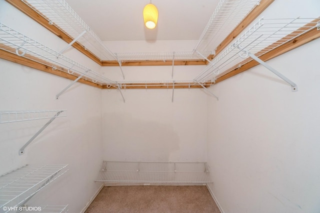 175 Lake Blvd Unit 308, Buffalo Grove, IL 60089 - photo 10