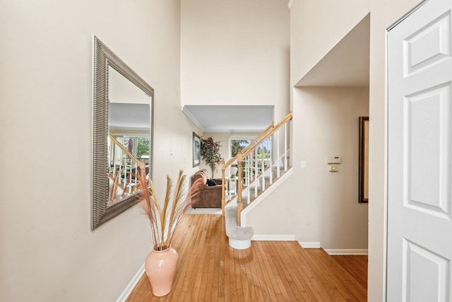 14 Corinth Ct, Tinley Park, IL 60477 - photo 4