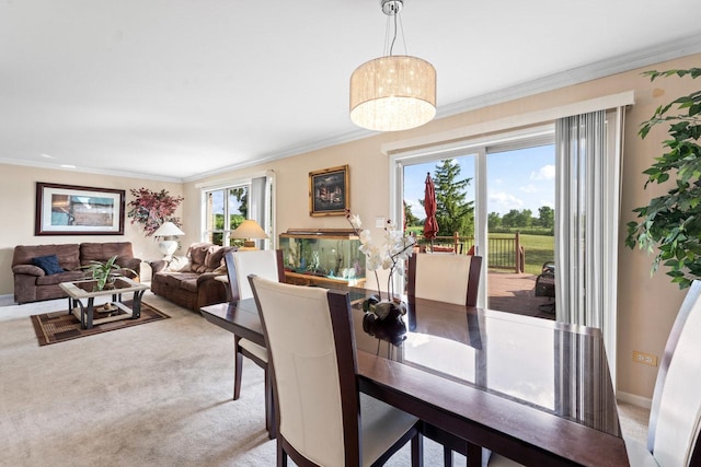 14 Corinth Ct, Tinley Park, IL 60477 - photo 8