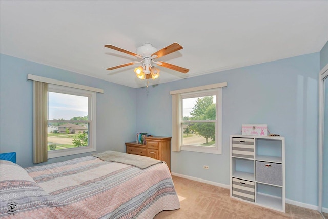 1807 Cecily Dr, Joliet, IL 60435 - photo 13