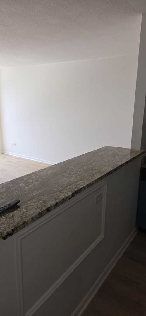 5401 S Hyde Park Blvd Unit 903, Chicago, IL 60615 - photo 17