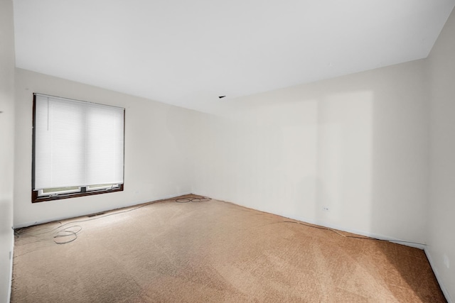 1100 Holbrook Rd Unit D, Homewood, IL 60430 - photo 10