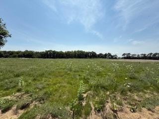 2209 Ann Ln, Woodstock, IL 60098 - photo 4