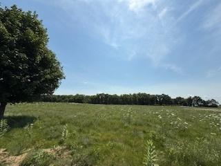 2209 Ann Ln, Woodstock, IL 60098 - photo 8