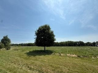 2209 Ann Ln, Woodstock, IL 60098 - photo 10