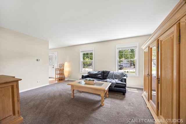 205 Meadowview Ln, Aurora, IL 60502 - photo 5
