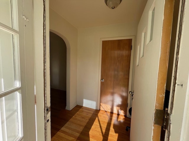 808 S Victor St S, Champaign, IL 61821 - photo 3