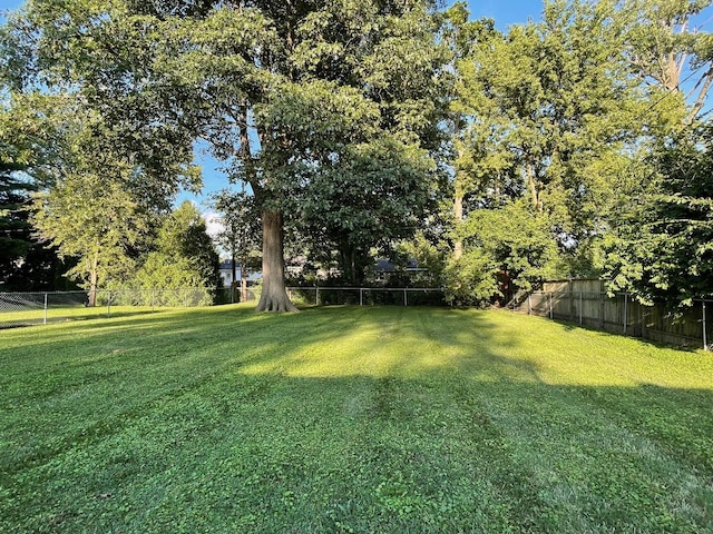 808 S Victor St S, Champaign, IL 61821 - photo 26