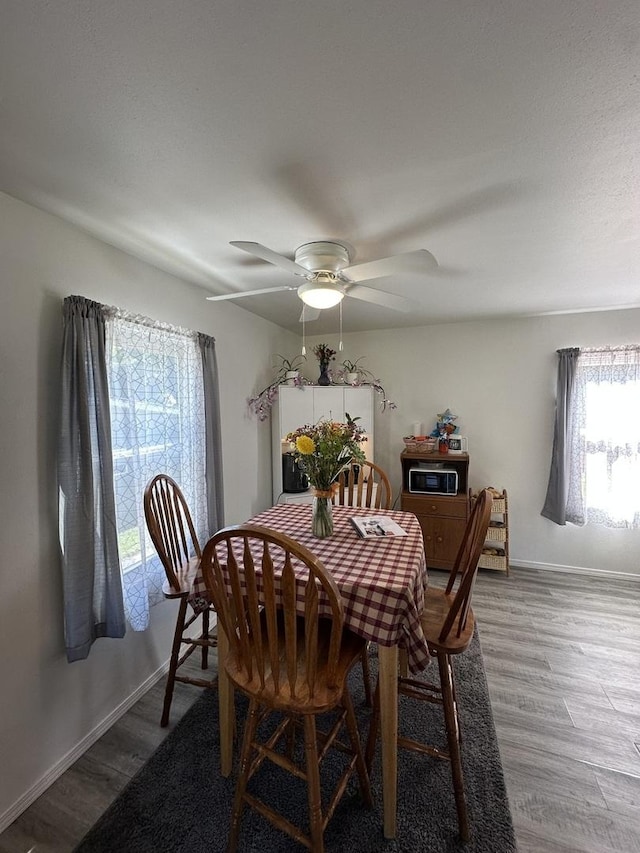 623 Fourth Ave, Dixon, IL 61021 - photo 5