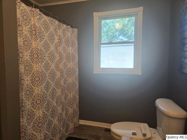 1541 Elm St, Hamilton, IL 62341 - photo 15