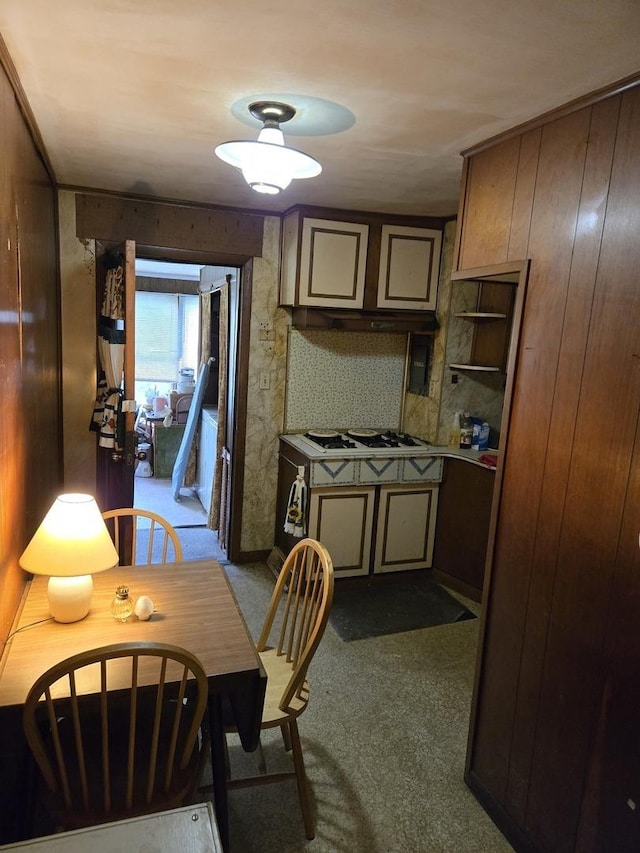313 N Clinton St, Dwight, IL 60420 - photo 12