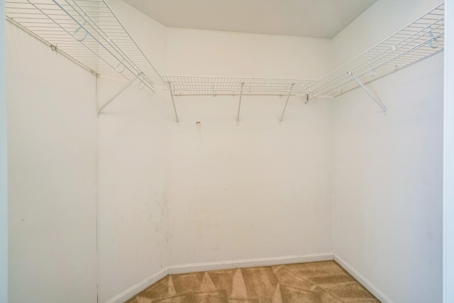 8232 Concord Ln Unit B, Justice, IL 60458 - photo 10
