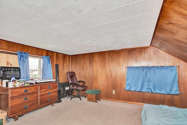 514 Watson St, Aurora, IL 60505 - photo 15
