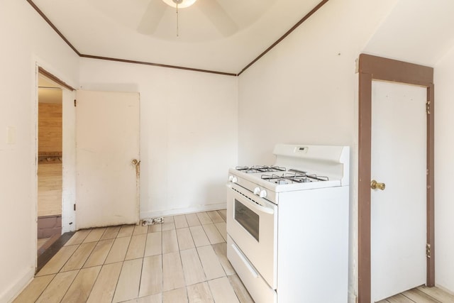 121 E James St, Forrest, IL 61741 - photo 17