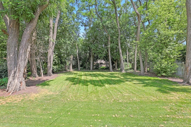 727 S Cook St, Barrington, IL 60010 - photo 24