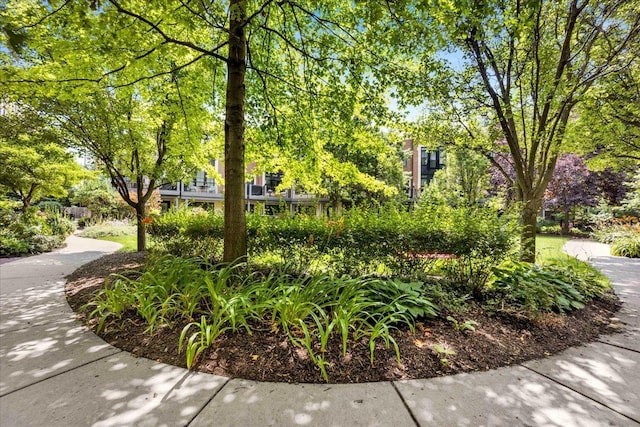 3010 W Newport Ave, Chicago, IL 60618 - photo 4