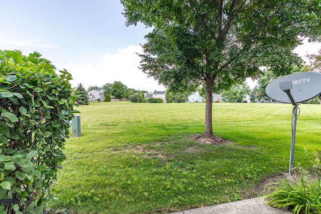 17868 W Braewick Rd, Gurnee, IL 60031 - photo 18