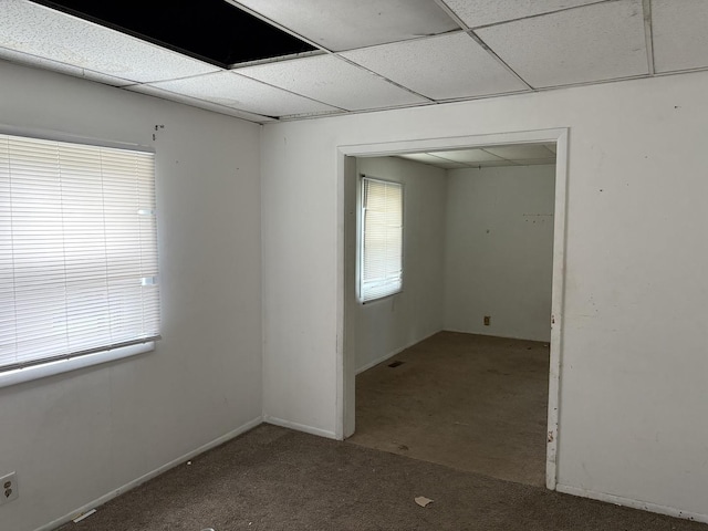 1204 W Macarthur Ave, Bloomington, IL 61701 - photo 10