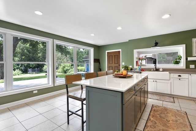 483 E Crystal Lake Ave, Crystal Lake, IL 60014 - photo 13