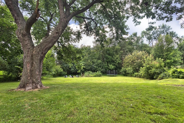 483 E Crystal Lake Ave, Crystal Lake, IL 60014 - photo 31