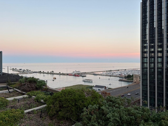 474 N Lake Shore Dr Unit 4907, Chicago, IL 60611 - photo 19