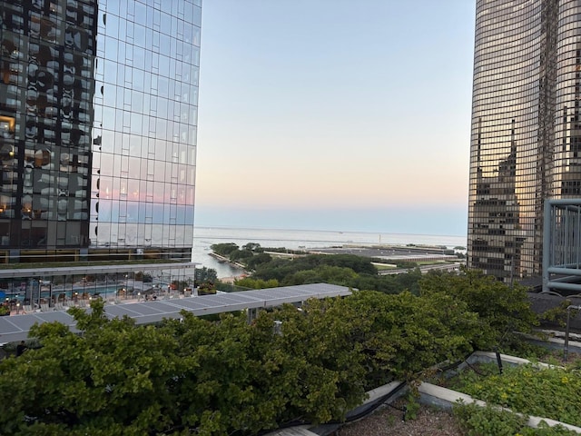 474 N Lake Shore Dr Unit 4907, Chicago, IL 60611 - photo 22